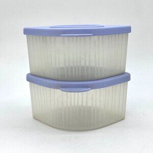 Vintage Tupperware Fresh N Cool Snack Containers Blue Lids Set of 2